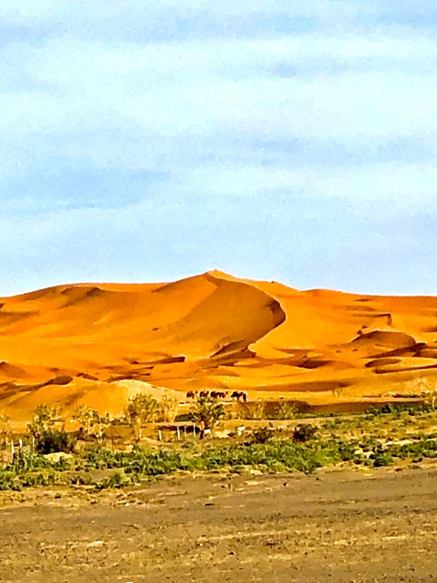 Bivouac La Fibule Des Dunes Merzouga Exteriér fotografie